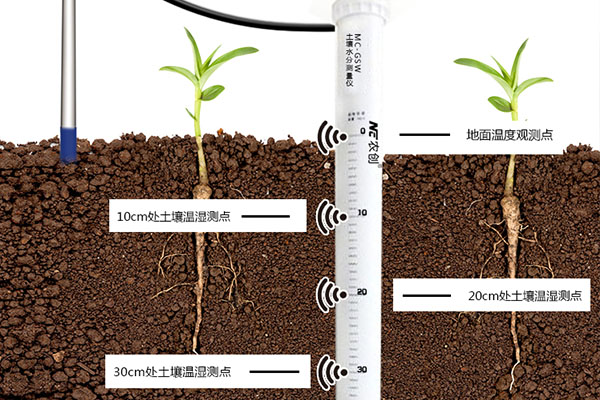 管式土壤溫度傳感器圖片