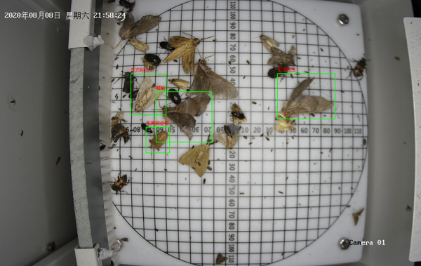 機(jī)場(chǎng)蟲(chóng)情監(jiān)測(cè)設(shè)備圖片1